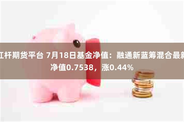 杠杆期货平台 7月18日基金净值：融通新蓝筹混合最新净值0.7538，涨0.44%