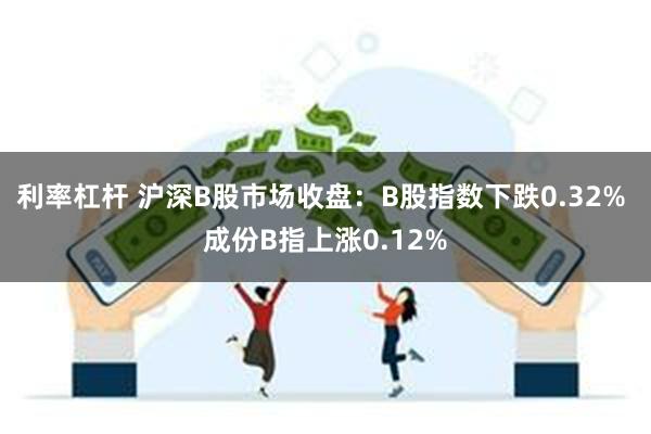 利率杠杆 沪深B股市场收盘：B股指数下跌0.32% 成份B指上涨0.12%