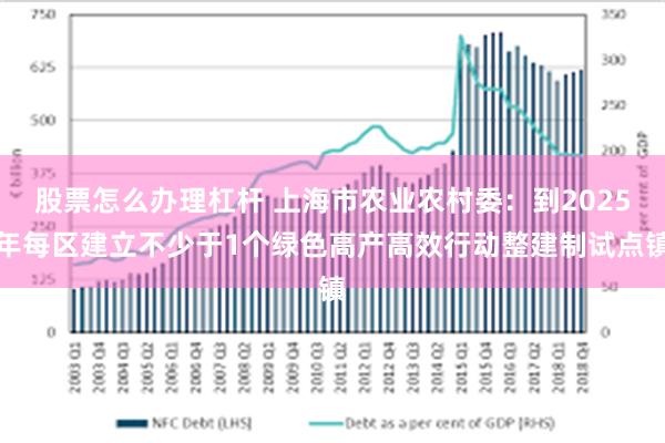 股票怎么办理杠杆 上海市农业农村委：到2025年每区建立不少于1个绿色高产高效行动整建制试点镇