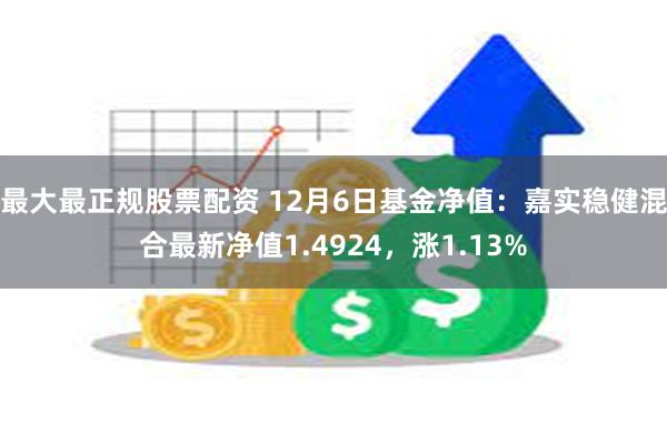 最大最正规股票配资 12月6日基金净值：嘉实稳健混合最新净值1.4924，涨1.13%