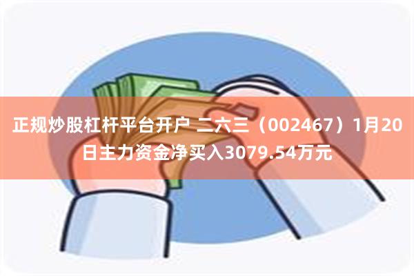 正规炒股杠杆平台开户 二六三（002467）1月20日主力资金净买入3079.54万元