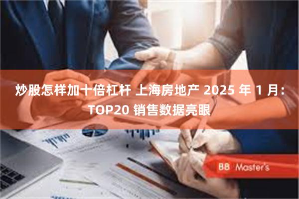 炒股怎样加十倍杠杆 上海房地产 2025 年 1 月：TOP20 销售数据亮眼