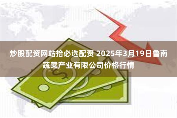 炒股配资网站拾必选配资 2025年3月19日鲁南蔬菜产业有限公司价格行情